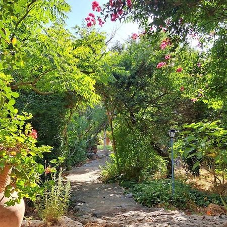 Villa Adama Clil Dış mekan fotoğraf