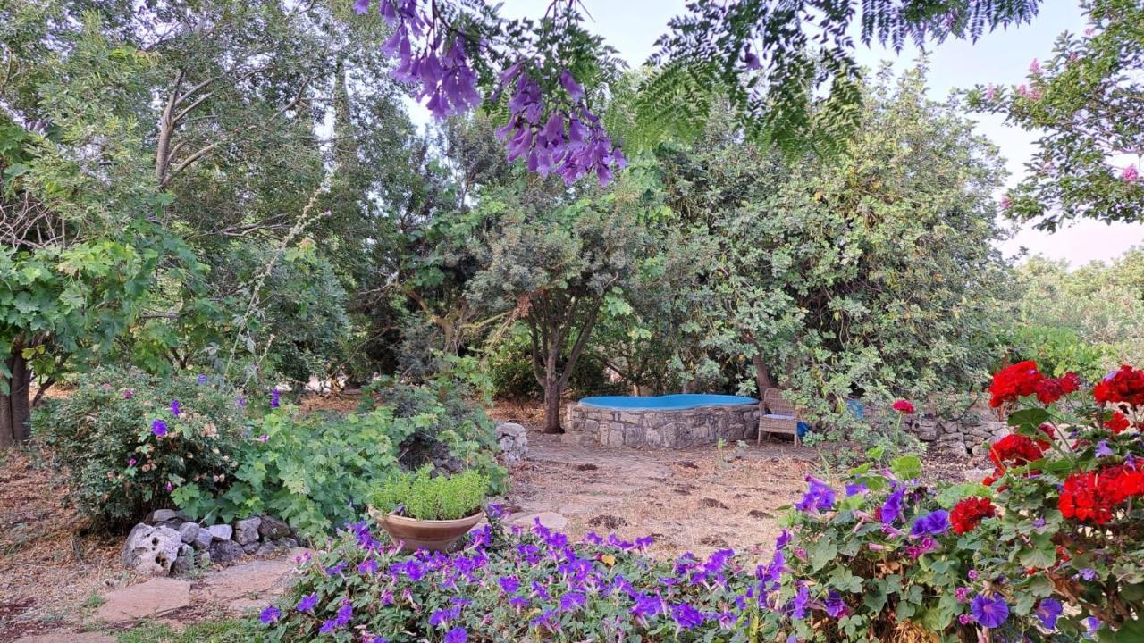 Villa Adama Clil Dış mekan fotoğraf